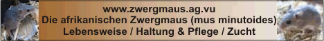 www.zwergmaus.ag.vu:Informationen zur afrikanischen Zwergmaus (mus minutoides)